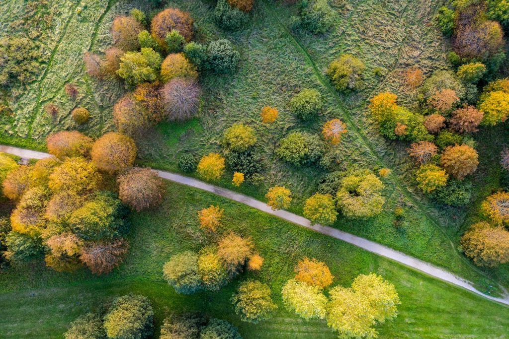 Photo by Edgars Pohevics on Unsplash